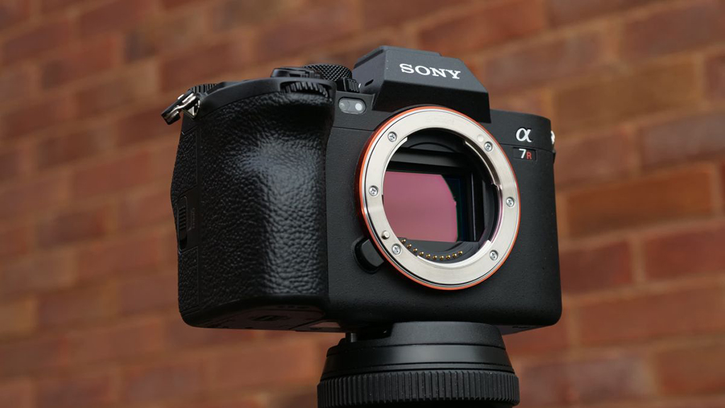 Sony A7r Mark V - Giang Duy Đạt