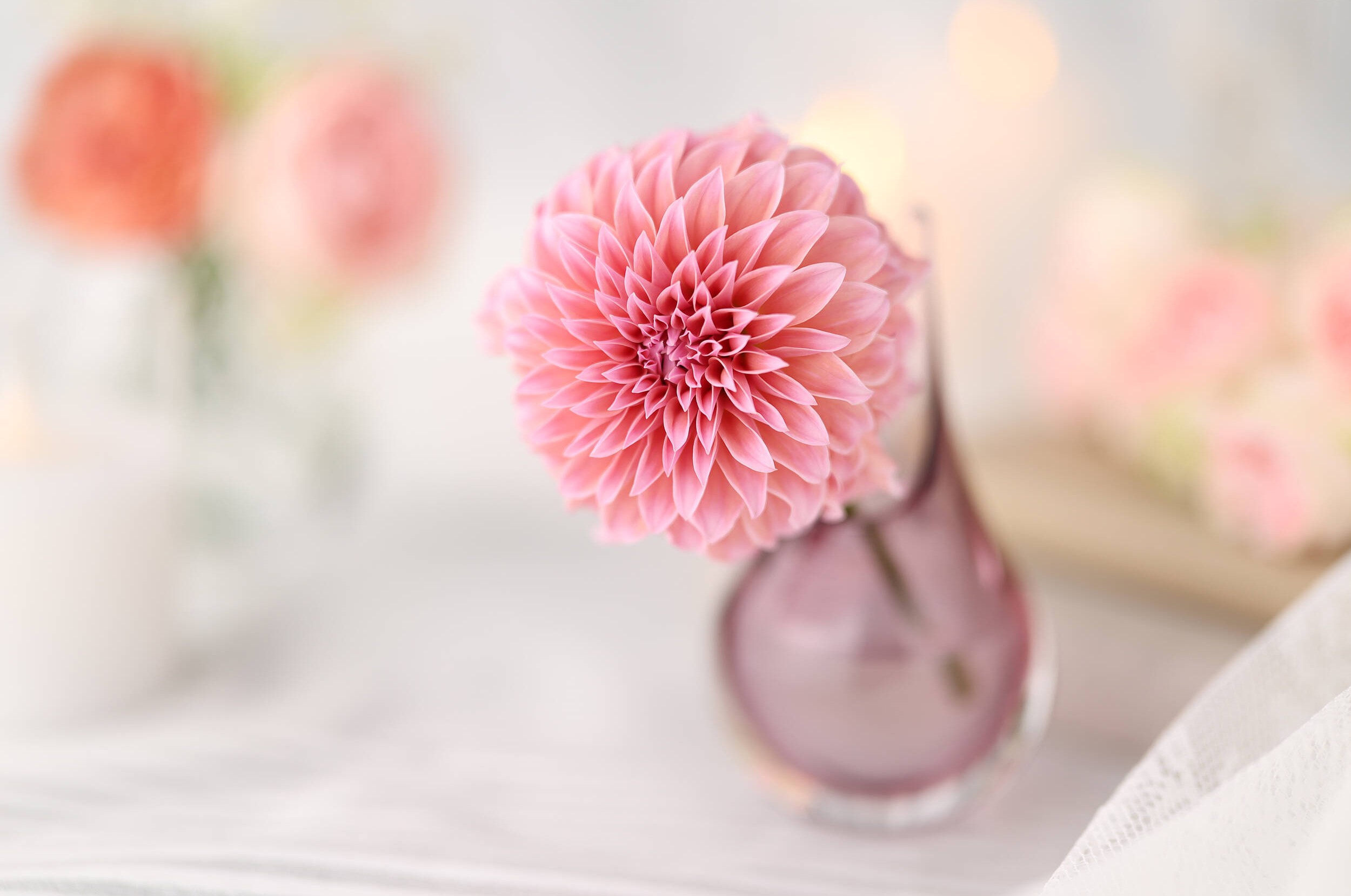 Hệ thống lấy nét tự động VCM