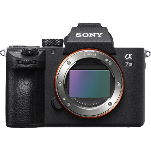 Máy ảnh Sony Alpha A7 Mark III (Body) - Ảnh 10