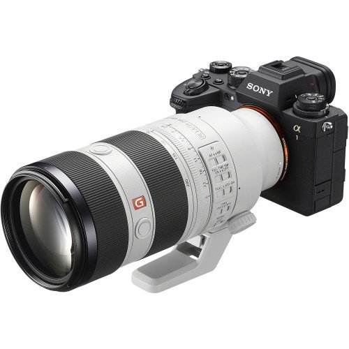 Ống kính Sony FE 70-200mm f/2.8 GM OSS II - Ảnh 13